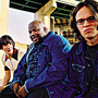 north mississippi allstars