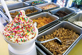 Willow Glen Frozen Yogurt Co.