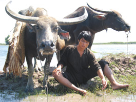 'Buffalo Boy'