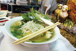 pho ga