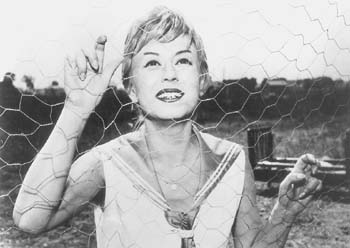 Nights of Cabiria