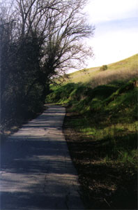 Trail