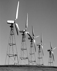 wind farm