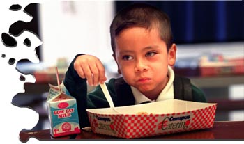 School Lunch