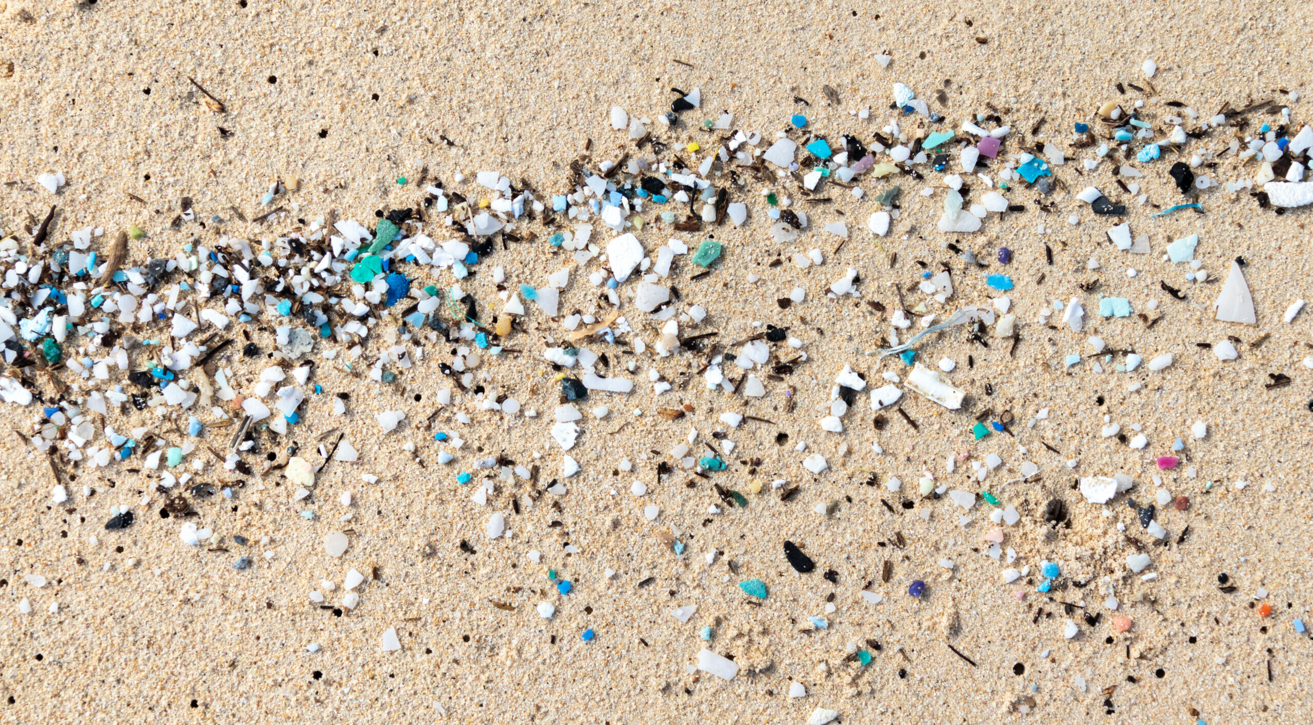 Scientists Study Big Issues Created by Microplastics | Metro Silicon ...