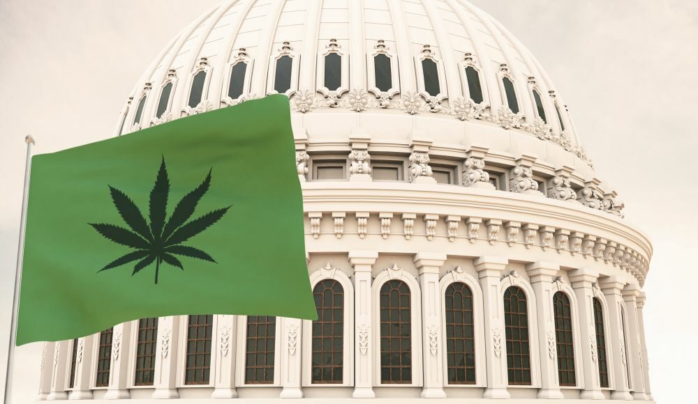 cannabis legalization, Ohio, election year, chronic