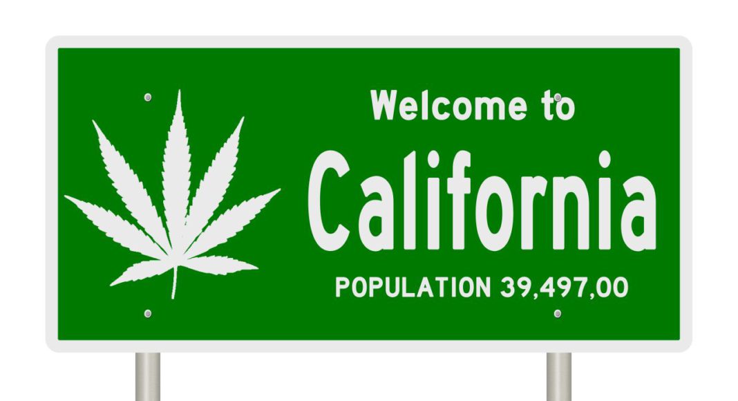 Chronic, Cannabis, California Cannabis Industry