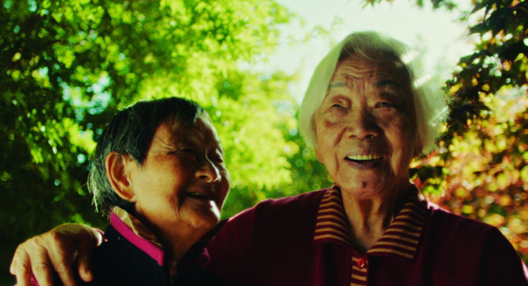 Nǎi Nai and Wài Pó, grandmothers, grandmother, San Jose, Silicon Valley, film, movie
