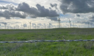 Grassy field with barb wire in foregound and windmills in the distance