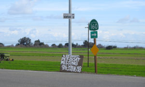 Sign on rural highway about a missing goat