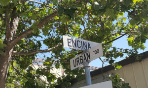 Street signs at intersection of Encina and Urban