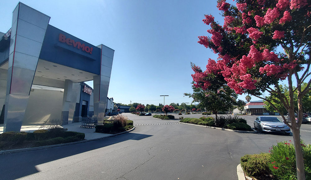 BevMo! store and surrounding parking lot and trees