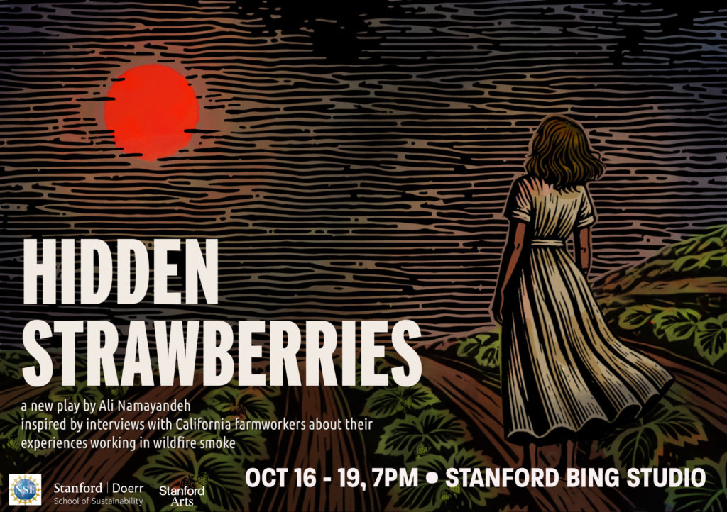 Image for display with article titled Hidden Strawberries at Stanford