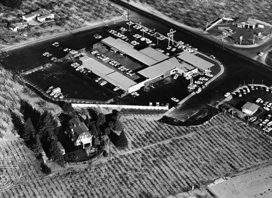 Archival aerial view of an area where orchards are giving way to commercial development