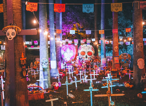 Brightly colored decorations for Day of the Dead, lit up at night