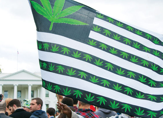 American flag modified with green marijuana leaves