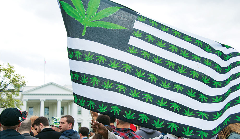 American flag modified with green marijuana leaves