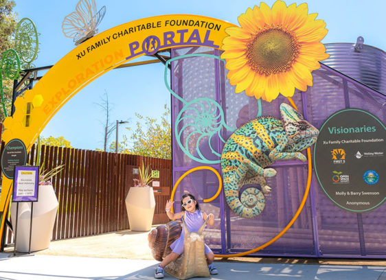 Girl in front of a brightly colored gate