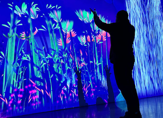 Man in silhouette looking at neon-bright images of flowers projected on the wall