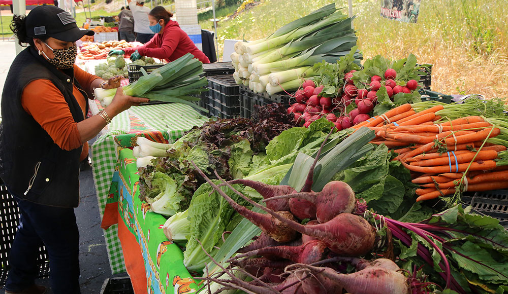 People at a farmers market with tables filled with produce