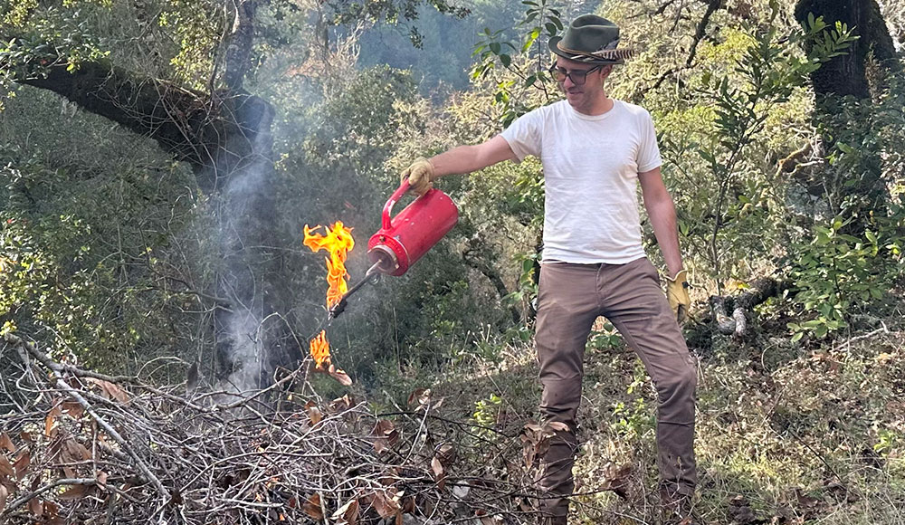 Man starting a bonfire in the forest